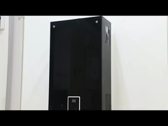 10L 2,6 GPM aquecedor de água painel de revestimento preto GPL GNL Tipo de gás