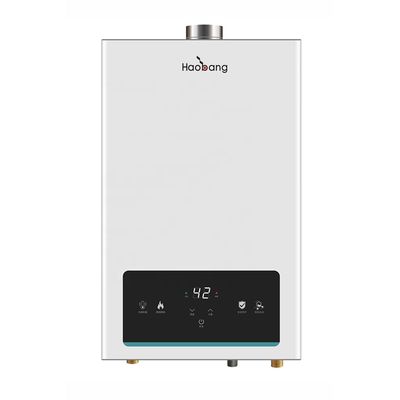 10L Instant Gas Geyser Water Heater with IPX2 Waterproof and Constant Temperature for Household Use