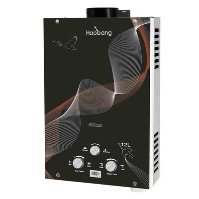 Aquecedor de água de gás natural líquido (GNL) Painel de vidro preto 6L Aquecimento instantâneo de água