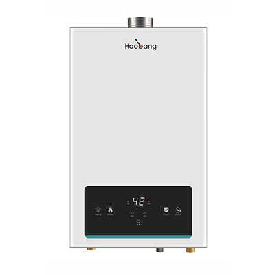 21KW 110V-220V Aquecedor de água a gás de temperatura constante Branco 10L