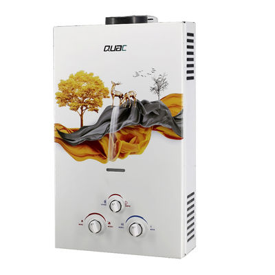 Performance Combustível de escape de gás aquecedor de água Tipo Branco 10L 20KW