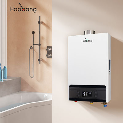 Aquecedor de água de gás de escape forçado de 220 V com logotipo de impressão de tela de seda e alta eficiência térmica ≥ 93%