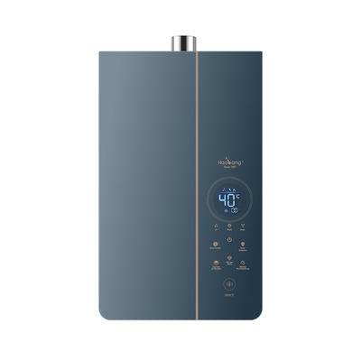 21kW Potência de saída de calor Gás de escape forçado Aquecedor de água 10L Capacidade para instalação flexível